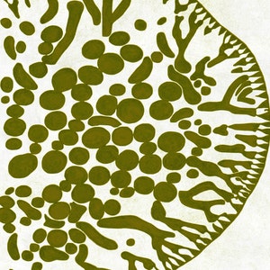 May include: Abstract art print with a circular design featuring a white background with a green pattern of circles, dots, and organic shapes.