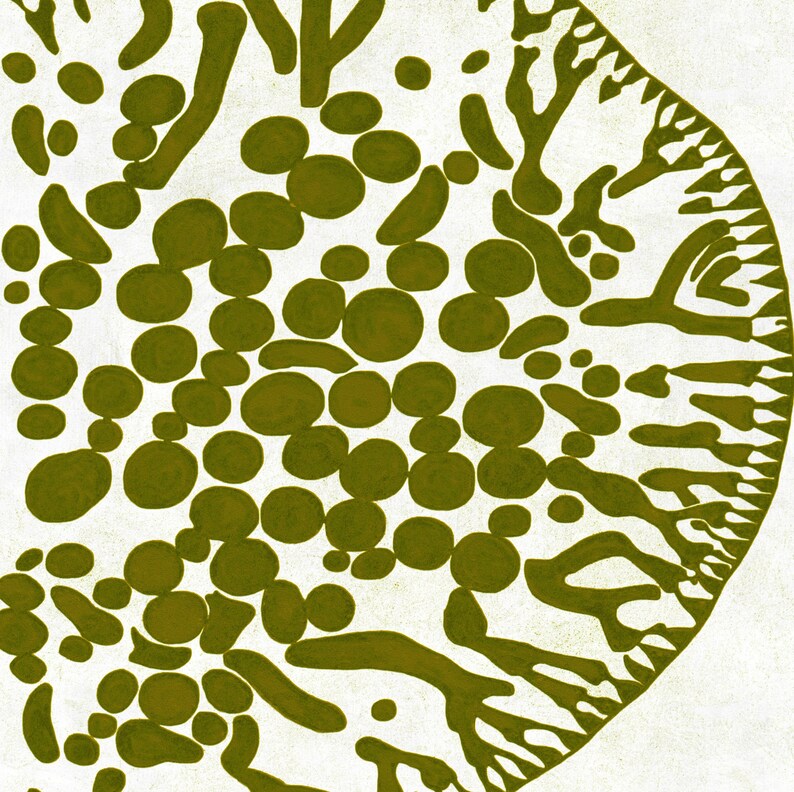May include: Abstract art print with a circular design featuring a white background with a green pattern of circles, dots, and organic shapes.