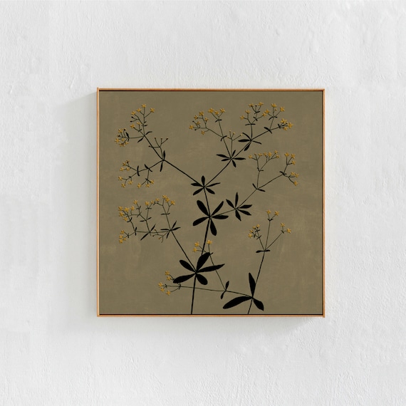 Wildflower Illustration: Printable Art, Flower Prints Wall Art, Downloadable Art Print for Living Room, Olive Green Decor, Large Square Art