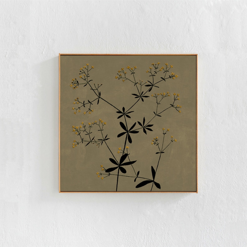 olive green and yellow wildflower illustration: high quality , square , digital downloadable art for budget friendly home decor. botanical printable art