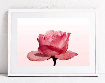 Blush Pink Wall Art Print, Floral Print Wall Art, Pink Rose Print, Floral Digital Art Print, Flower Photo Print, Botanical Print Download