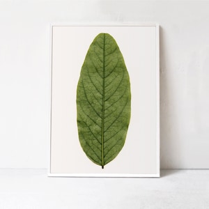 Green Art Print, Green Leaf Print: Large Poster Download. Botanical Art Print, Nature Photography Green PRINTABLE ART Digital Art Print A1