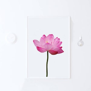 Impresión de flor de loto, impresión digital de fotografía floral, póster imprimible de flor de loto, impresión fotográfica de naturaleza, impresión de arte botánico