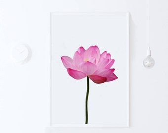 Lotus Flower Print, Floral Photography Download Digital Print, Lotus Flower Poster Printable Art, Nature Photo Print , Botanical Art Print