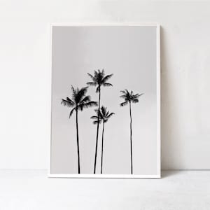 Impressão de palmeira, impressão tropical, foto de palmeira, arte de parede tropical, fotografia artística para impressão, download digital, arte de palmeira em preto e branco