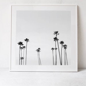 Palm Trees Wall Art Print, Black and White Print, Palm Trees Photography Print, Palm Tree Print, Square Print Instant Download PRINTABLE Art