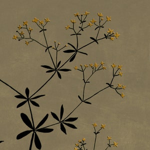 olive green and yellow wildflower illustration: high quality , square , digital downloadable art for budget friendly home decor. botanical printable art
