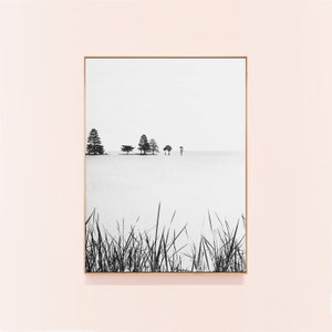 Forest Print, Nature Art Print, Nature Photo, Black and White Print Landscape , Minimalist Photography Printable Art Download, Digital Print