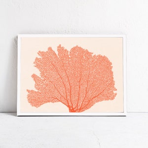 Red Orange Decor, SeaFan Coral Print DOWNLOADABLE ART Print, Coastal Wall Art, Horizontal Printable Art Botanical Illustration Digital Print image 2