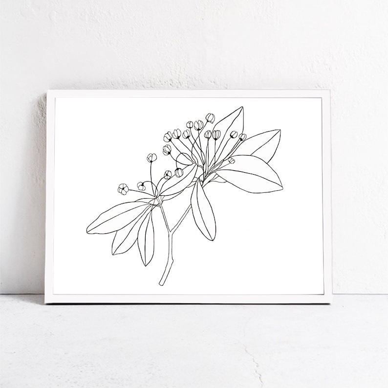 Black and White Flower Art Print Download Floral Digital - Etsy