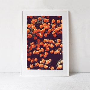Dark Florals Art Print, Orange Wall Art, Floral Print Art, Large Botanical Print DOWNLOAD Floral Photography Printable Art, Bedroom Wall Art image 2