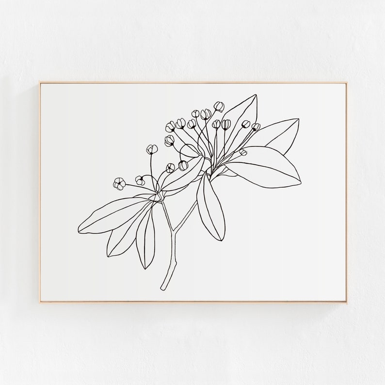 May include: A black and white line drawing of a flowering branch with leaves. The branch has several small flowers and leaves.