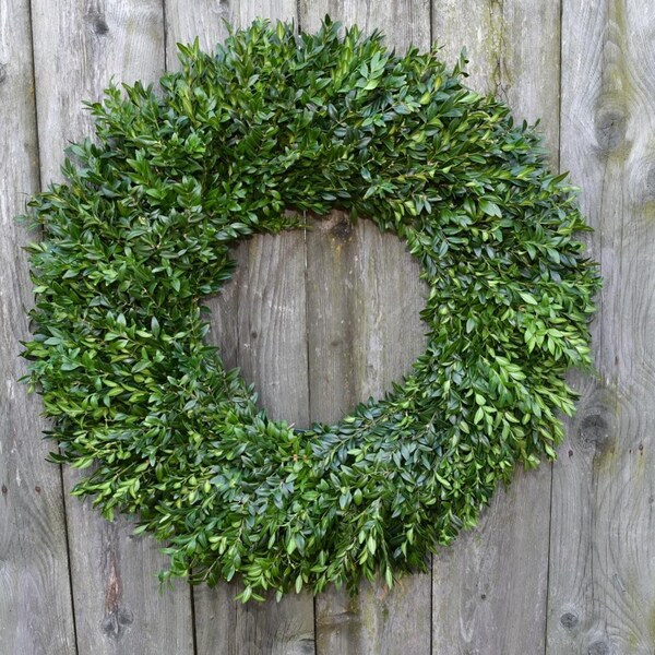 Boxwood Wreath Etsy