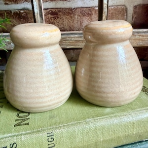 May include: A pair of ceramic salt and pepper shakers. The shakers are beige with a light brown, wood-grain pattern. The top of each shaker has a yellow stripe. The shakers are sitting on a green book.
