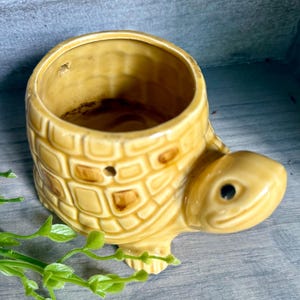 May include: A glossy, light brown ceramic turtle-shaped planter with a textured shell pattern. The turtle has a small head with a black eye, a wide circular opening on its back, and a small drainage hole on the side of the shell body.