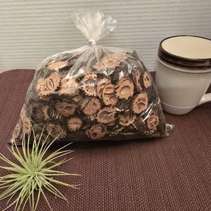 Black Walnut Shell end Slices and Misc Pieces- 2 lb bag