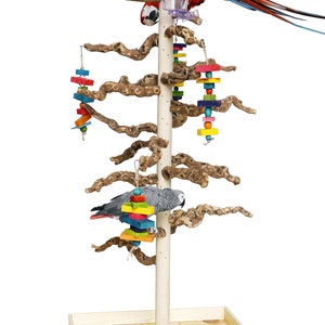May include: A wooden parrot play stand with a large base and multiple branches. The stand has two food and water dishes and several colorful toys. A grey parrot is perched on one of the branches and a red and blue macaw is perched on the top of the stand.