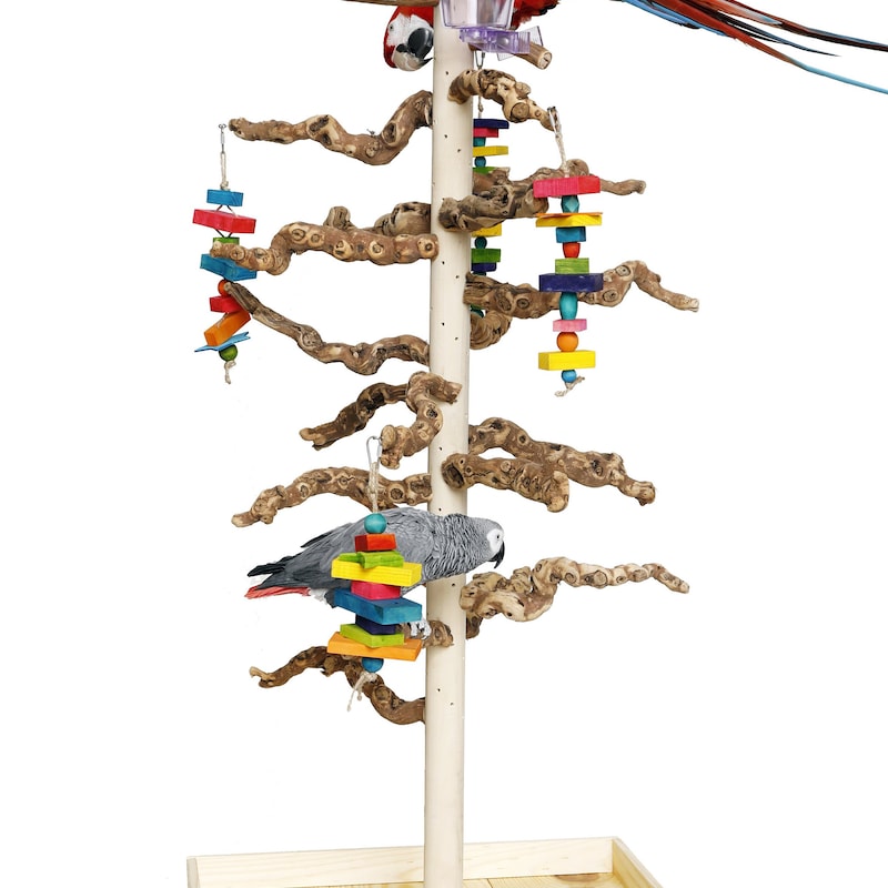 Parrot Play Stand - Etsy