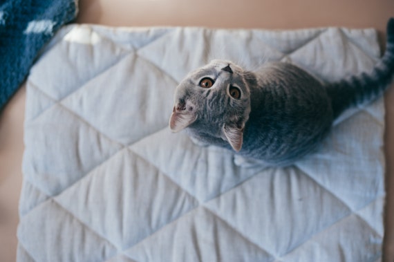 Unique HEMP Pet Mat Carpet Filled HEMP Fiber dog Mat Pad Cat Mat organic Dog Mat Pad organic Cat Pet Blanket Etsy Canada
