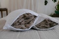 HEMP Organic Pillow filled HEMP FIBER in linen fabric with regulation  height/Hemp pillow/ Hypoallergenic Bed Pillow /Toddler/Eco pillow