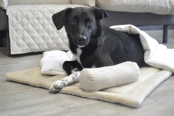 Organic dog blanket deals