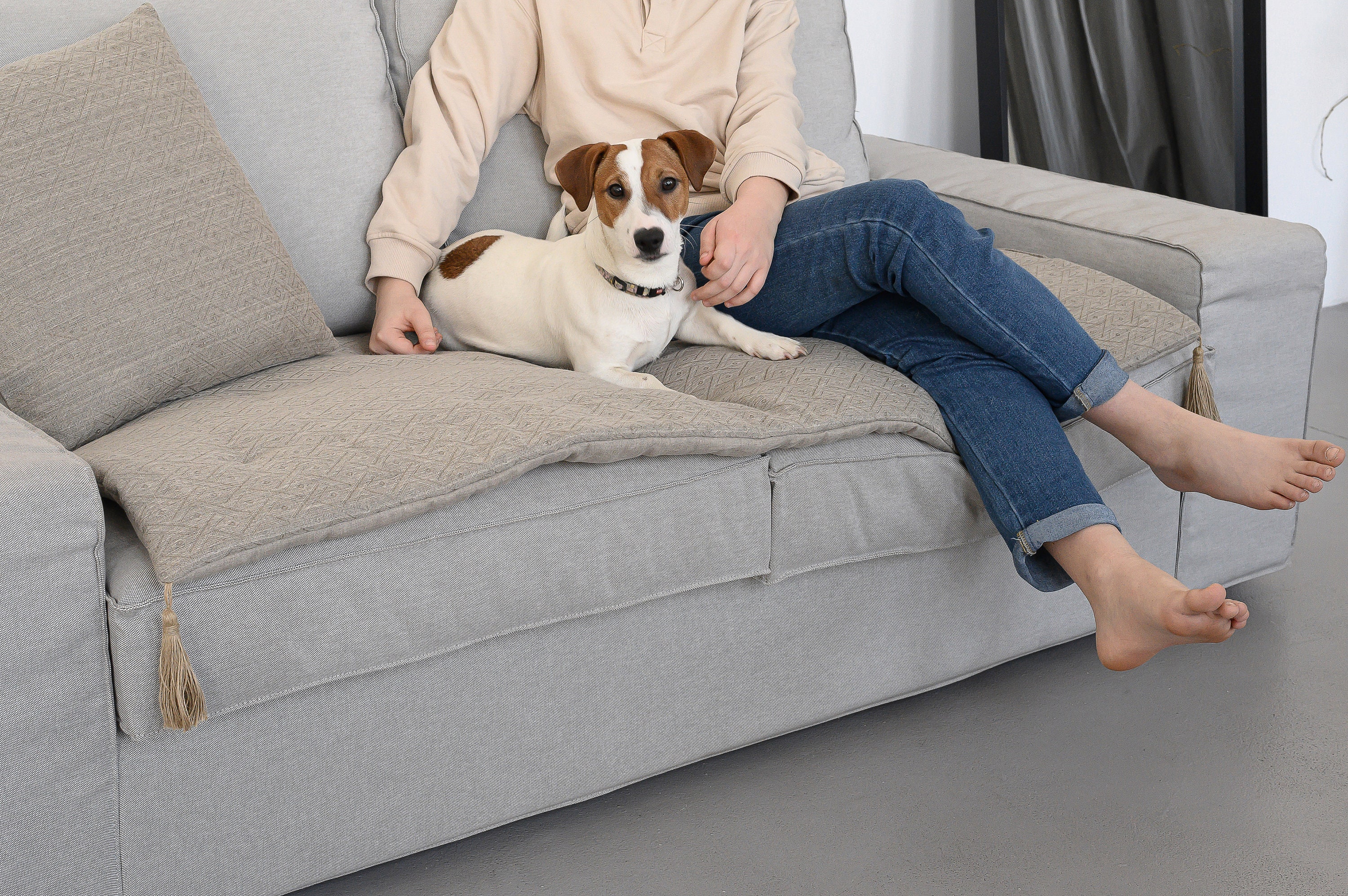 Sofa Slipcover Pet Furniture Protector Pet Sofa Protector 