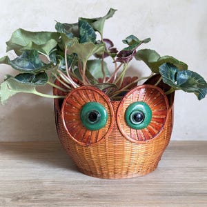Peut inclure: Un pot en osier tissé en forme de hibou avec des yeux en verre vert. Le pot est rempli d'une plante verte aux grandes feuilles.