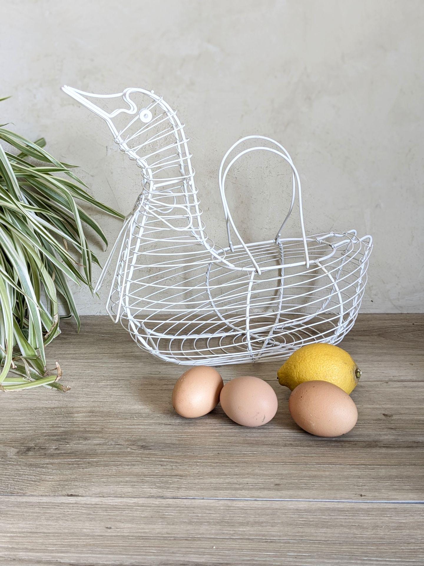 Panier en à oeufs en métal, 7 litres | Serre en Direct