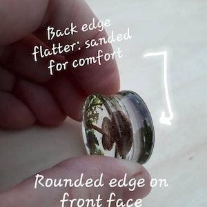 Mushroom moss ear plugs gauges real preserved specimens in resin, double flared plug 10mm to 36mm MADE TO ORDER image 6