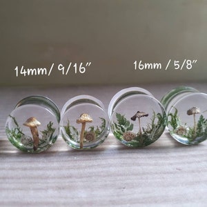Mushroom moss ear plugs gauges real preserved specimens in resin, double flared plug 10mm to 36mm MADE TO ORDER image 2