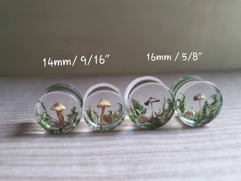 Mushroom moss ear plugs gauges real preserved specimens in resin, double flared plug 10mm to 36mm MADE TO ORDER image 2