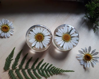 Daisy ear plugs, ear gauges real preserved flowers in resin, double flared 16mm to 30mm - Made to Order