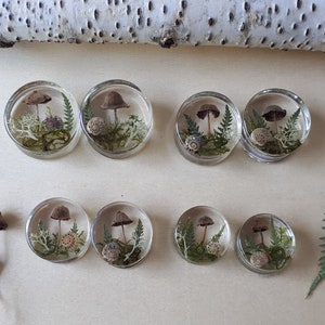 Mushroom moss ear plugs gauges real preserved specimens in resin, double flared plug 10mm to 36mm MADE TO ORDER image 4