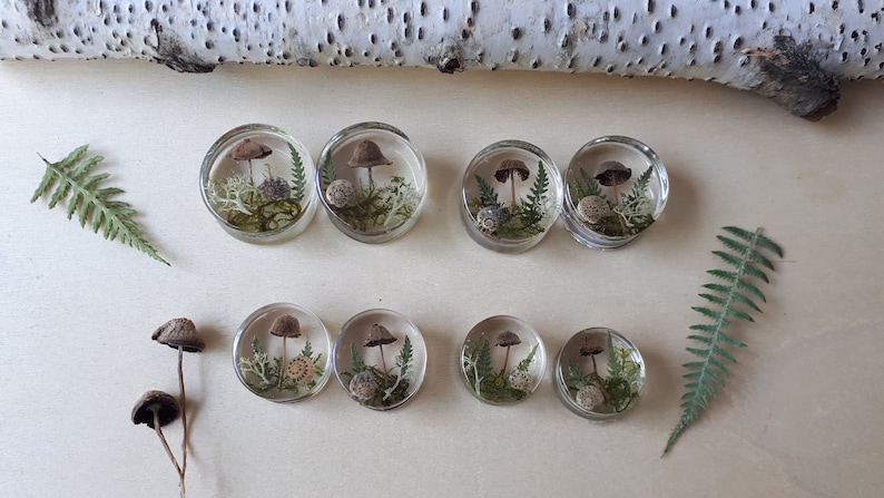 Mushroom moss ear plugs gauges real preserved specimens in resin, double flared plug 10mm to 36mm MADE TO ORDER image 4