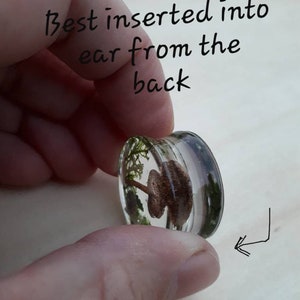 Mushroom moss ear plugs gauges real preserved specimens in resin, double flared plug 10mm to 36mm MADE TO ORDER image 9