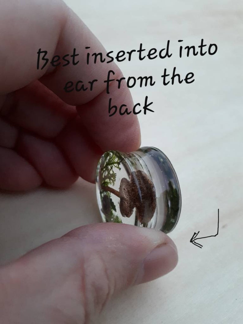 Mushroom moss ear plugs gauges real preserved specimens in resin, double flared plug 10mm to 36mm MADE TO ORDER image 9