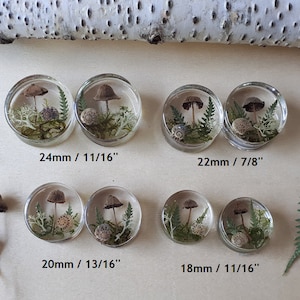 Mushroom moss ear plugs gauges real preserved specimens in resin, double flared plug 10mm to 36mm MADE TO ORDER image 3