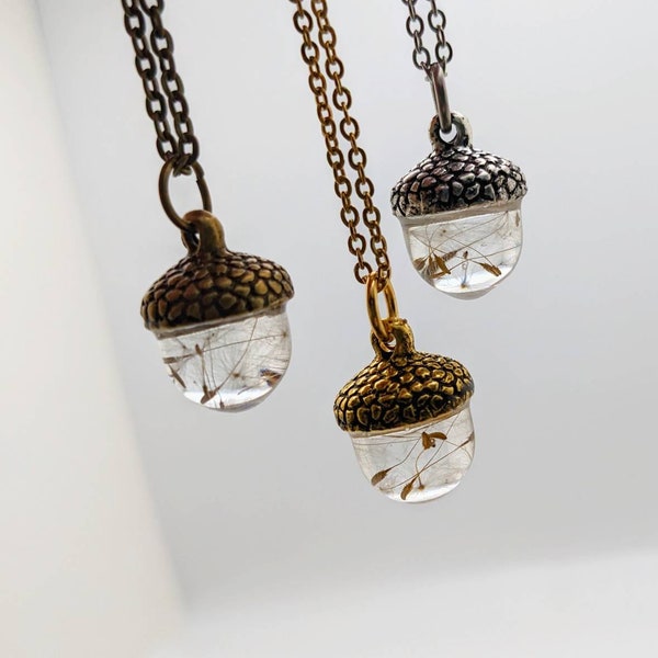 Pendentif gland avec véritables graines / vœux de pissenlit stabilisés. Collier terrarium avec capuchon en noix de chêne