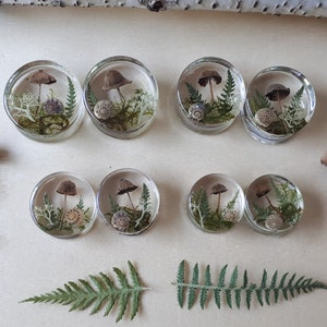 Mushroom moss ear plugs gauges real preserved specimens in resin, double flared plug 10mm to 36mm MADE TO ORDER image 1