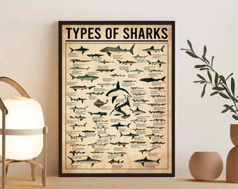 Unframed Types Of Sharks  , Sharks Vintage Poster, Shark Lover Gift, Shark Knowledge Poster, Ocean Poster, Education ,Animal Poster