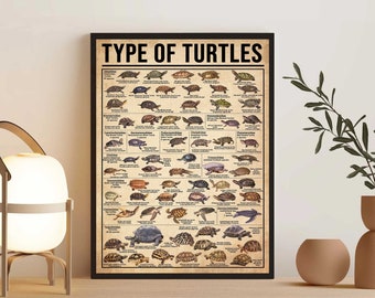 Unframed Types Of Turtles Vintage Poster, Turtle Lover Gift, Turtle Poster, Tortoises Of Knowledge Poster, Vintage Knowledge Poster, Turtle