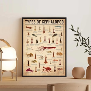 Types Of Cephalopod Vintage Poster, Cephalopod Lover Gift, Cephalopod Art Print, Knowledge Poster, Home Decoration, Education Wall Decor