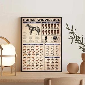 Conocimientos sobre caballos sin marco, póster vintage, todo sobre caballos, conocimiento, regalo para amantes de los caballos, conocimiento, hogar, educación