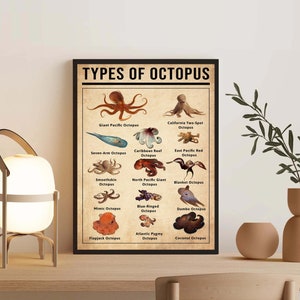 Tipos de pulpo sin marco, póster vintage de pulpo, regalo para amantes del pulpo, póster de conocimiento, conocimiento, decoración del hogar, educación