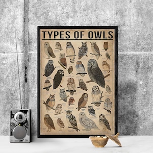 Tipi di gufi senza cornice verticali, regalo per amanti dei gufi, tutto sui gufi, poster di conoscenza vintage, conoscenza, casa, istruzione