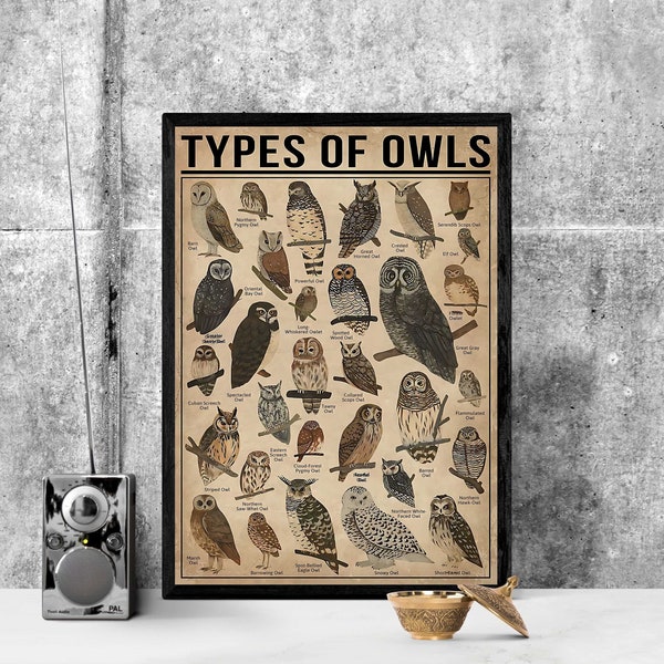 Types Of Owls Vertical Print, Owl Lover Gift, All About Owl, Vintage Knowledge Poster, Knowledge Art, Home Wall Art, Education Wall Decor