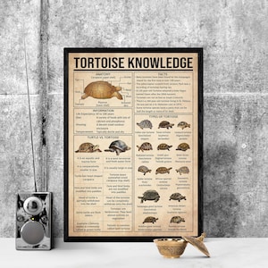 Unframed Tortoise Knowledge , Tortoise Lover Gift, All About Tortoise, Home , Education  , Knowledge Poster, Knowledge Poster