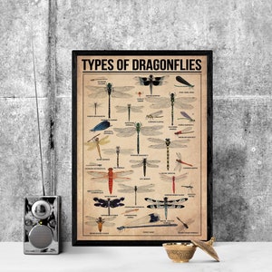 Unframed Types Of Dragonflies Vintage Poster, Dragonfly Lover Gift, Dragonfly , Vintage Knowledge Poster, Knowledge Art, Education