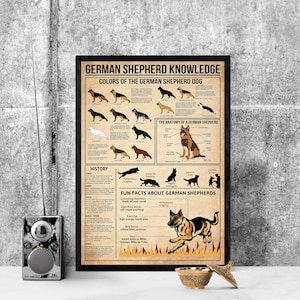 Unframed German Shepherd Knowledge , German Shepherd Poster, All About German Shepherd , Vintage Poster, Home , Education