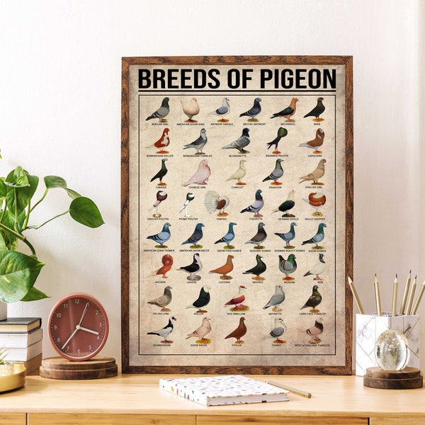 Breeds Of Pigeon Knowledge Art Print, Pigeon Lover Gift, Pigeon Vintage Poster, Knowledge Poster, Home Wall Decor, Education Wall Decor